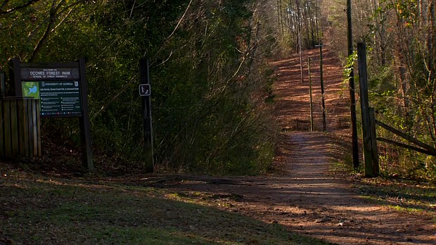 Police are investigating the scene at the University of Georgia in Athens where a nursing student was found dead.
Mandatory Credit:	CNN via CNN Newsource