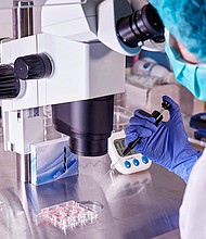 Florida ‘unborn child’ bill stalls amid concerns over IVF and abortion policies, seen here, a doctor does a control check of the in vitro fertilization process using a microscope.
Mandatory Credit:	Antonio Marquez lanza/Moment RF/Getty Images via CNN Newsource