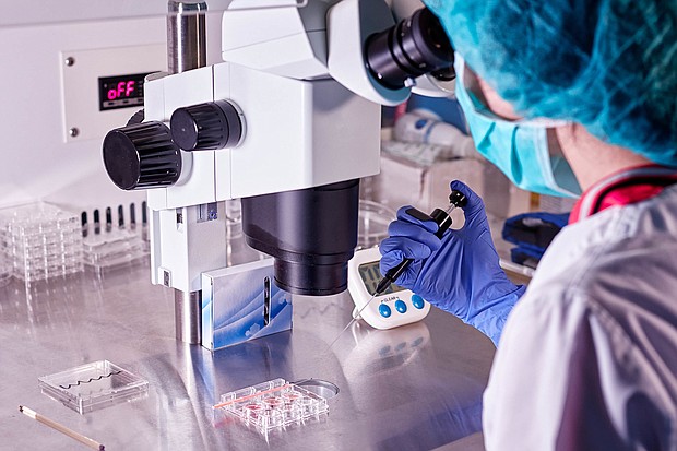 Florida ‘unborn child’ bill stalls amid concerns over IVF and abortion policies, seen here, a doctor does a control check of the in vitro fertilization process using a microscope.
Mandatory Credit:	Antonio Marquez lanza/Moment RF/Getty Images via CNN Newsource