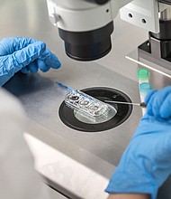 More employers are covering in vitro fertilization treatments.
Mandatory Credit:	abezikus/iStockphoto/Getty Images via CNN Newsource