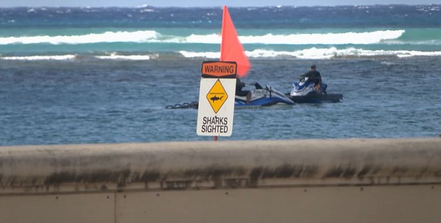 Shark warning signs are still up after an aggressive shark took a bite out of a surfer's board at Kaimana Beach.
Mandatory Credit:	KITV via CNN Newsource