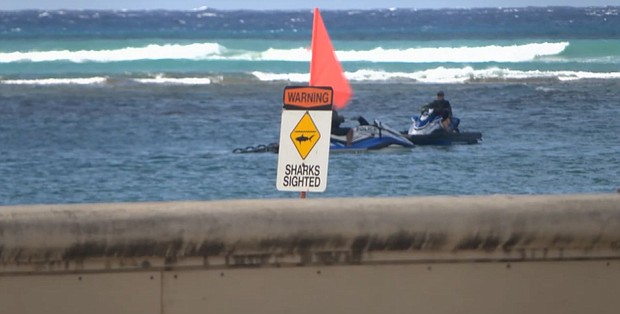 Shark warning signs are still up after an aggressive shark took a bite out of a surfer's board at Kaimana Beach.
Mandatory Credit:	KITV via CNN Newsource