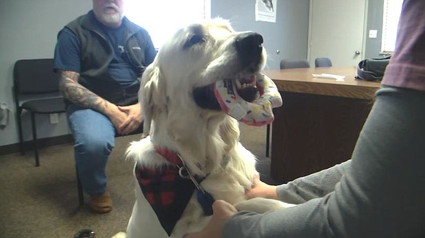 An arrest has been made 4 months after Trooper the dog was found shot in the head in Cowlitz County, Washington.
Mandatory Credit:	KPTV via CNN Newsource