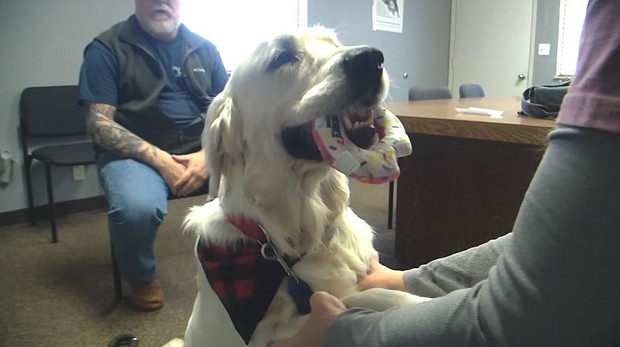 An arrest has been made 4 months after Trooper the dog was found shot in the head in Cowlitz County, Washington.
Mandatory Credit:	KPTV via CNN Newsource