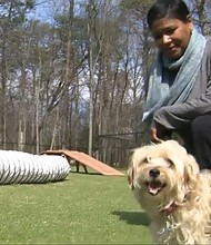 A dog sanctuary in Anne Arundel County is flying to new heights to help senior dogs like Jack with another chance at finding a loving home.
Mandatory Credit:	WJZ via CNN Newsource