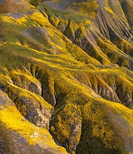 Wildflowers color the hills of the Temblor Range at Carrizo Plain National Monument on April 26, 2023 near McKittrick, California.
Mandatory Credit:	David McNew/Getty Images/File via CNN Newsource