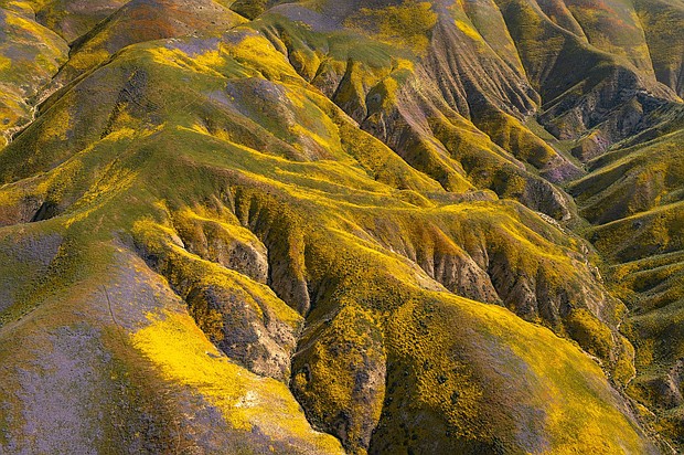 Wildflowers color the hills of the Temblor Range at Carrizo Plain National Monument on April 26, 2023 near McKittrick, California.
Mandatory Credit:	David McNew/Getty Images/File via CNN Newsource
