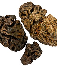 "C:\Users\jdpma\Downloads\cnn-L19jb21wb25lbnRzL2ltYWdlL2luc3RhbmNlcy9jbHU2eHZyeWcwMDF3MzU2aGlia3FjZjlh-L19jb21wb25lbnRzL2FydGljbGUvaW5zdGFuY2VzL2NsdTZ4b2dmbzAwM3RjMXFmOGQ4eDdnamc=.JPG"