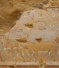 The daily life of the ancient Egyptians and their animals can be seen in the paintings.
Mandatory Credit:	St.J.Seidlmayer/DAIK via CNN Newsource