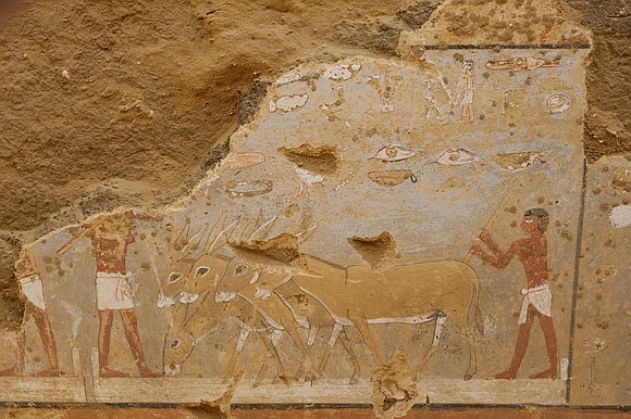 Colorful paintings of daily life in ancient Egypt have been discovered in a tomb dating back more than 4,300 years.