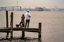 photo thumbnail