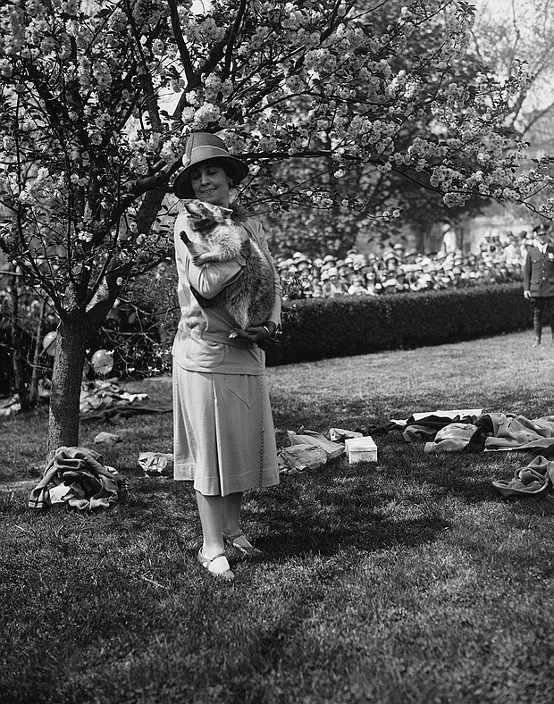 First Lady Grace Coolidge with her pet raccoon, Rebecca, during the annual Easter Egg Roll in 1927.
Mandatory Credit:	PhotoQuest/Getty Images via CNN Newsource