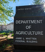 Scientists say the United States is not sharing enough data from its investigation into H5N1 bird flu in cattle and other mammals.
Mandatory Credit:	J. David Ake/Getty Images via CNN Newsource