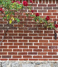 Bricks and roses