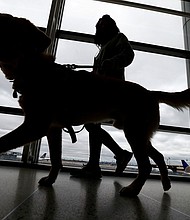 A trainer walks with a service dog through the Terminal C at Newark Liberty International Airport while taking part of a training exercise, on April 1, 2017, in Newark, N.J.
Mandatory Credit:	Julio Cortez/AP/File via CNN Newsource