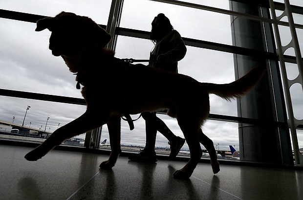 A trainer walks with a service dog through the Terminal C at Newark Liberty International Airport while taking part of a training exercise, on April 1, 2017, in Newark, N.J.
Mandatory Credit:	Julio Cortez/AP/File via CNN Newsource