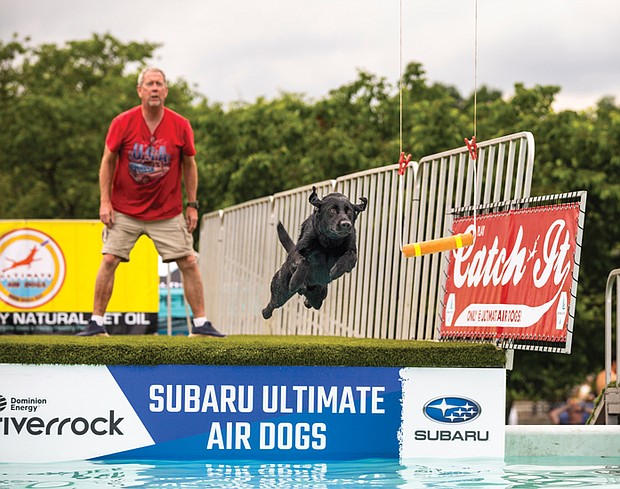 2-year-old Decloration of Independence, Dec for short, flies high May 17 in the Subaru Ultimate Air Dogs competition at the 16th Annual Dominion Riverrock as owner Fred Eaker watches in anticipation.