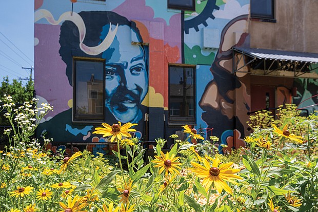 Blackeyed susans in the Seven Hills School Garden.  Sandra Sellars/Richmond Free Press