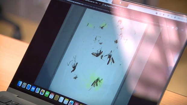Researchers with the University of South Florida are using artificial intelligence to advance mosquito surveillance and help combat malaria in Africa.
Mandatory Credit:	WFTS via CNN Newsource