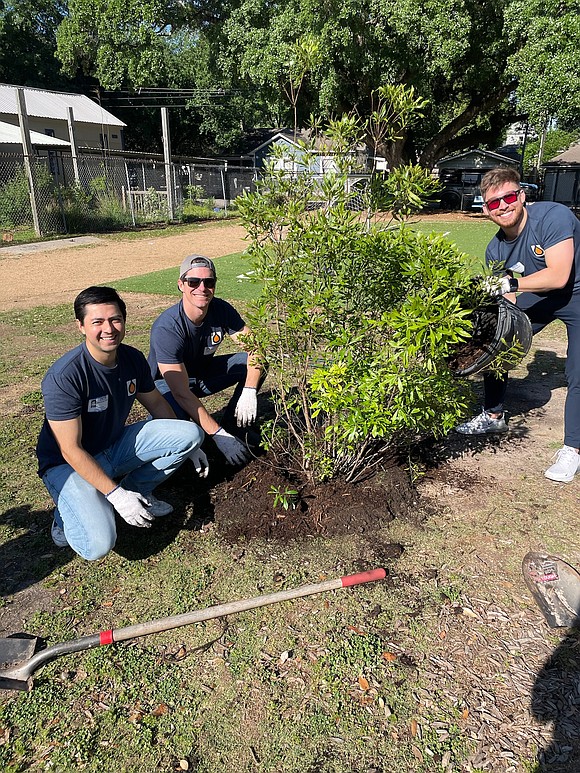 In a groundbreaking achievement, Trees For Houston has set a record by planting 101,000 trees and understory species across 150 …