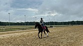 More than 100 horses have already arrived at Colonial Downs, with approximately 700 more expected at the New Kent racetrack throughout race season.