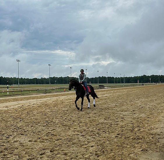 Colonial Downs Racetrack is gearing up for its 2024 thoroughbred racing season, set to begin July 11. The track announced …