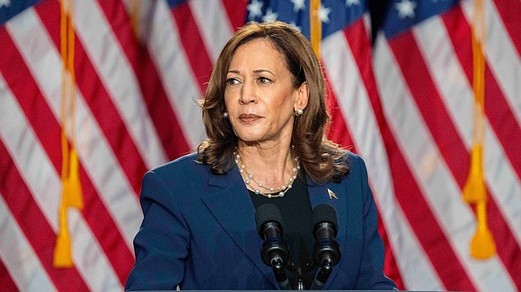 The ongoing controversy surrounding diversity, equity and inclusion has spilled over into the 2024 presidential race with Vice President Kamala …