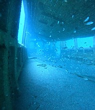 Sunken MARTA railcars have a new use underwater.
Mandatory Credit:	MARTA/Georgia Department of Natural Resources via CNN Newsource