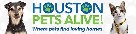 Houston Pets Alive! has partnered with BARC Animal Shelter to host a facilitated adoption event on November 2, where potential …