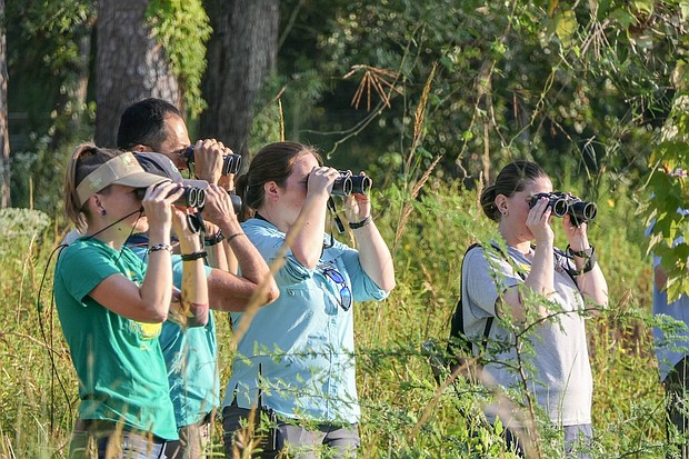 Birders - Christine Mansfield