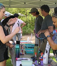 Nature Activities - Christine Mansfield