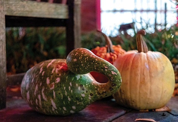 Glorious gourds of the season