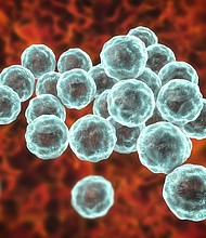 Chlamydia trachomatis causes a sexually transmitted infection that can go undetected causing infertility. Adolescents and young adults consistently make up more than half of chlamydia cases.
Mandatory Credit:	Science Photo Libra/Getty Images via CNN Newsource