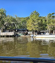 Cajun Encounters Swamp Tour