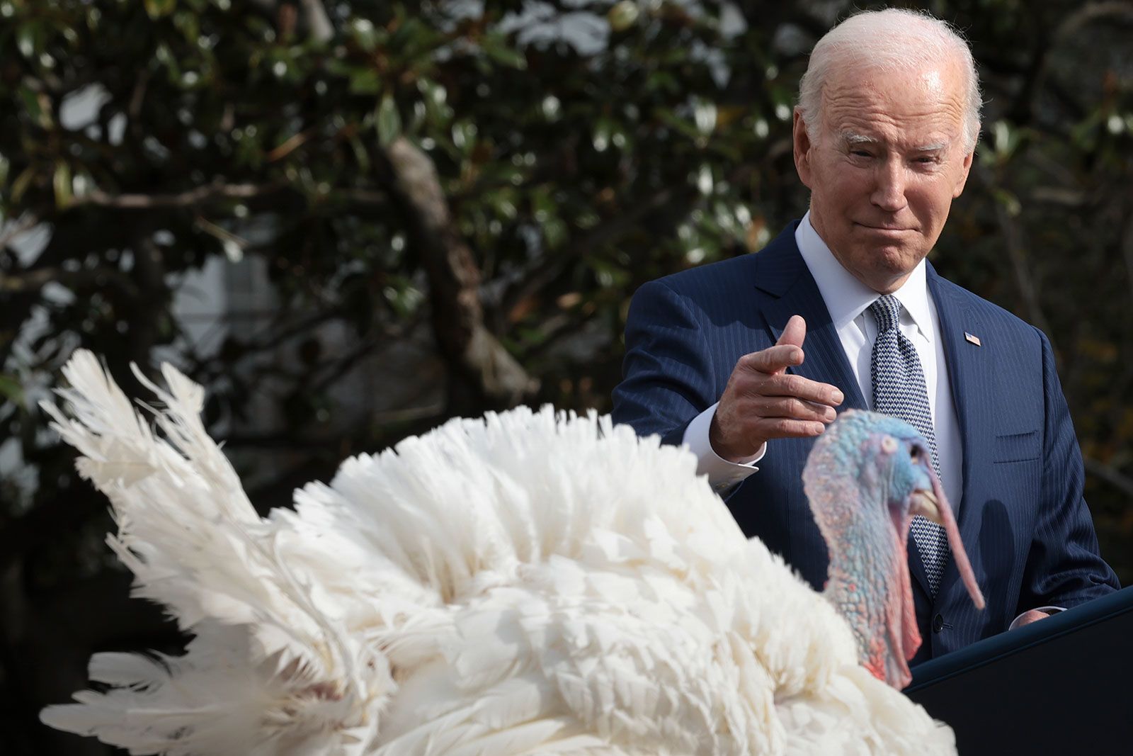 President Joe Biden pardons the National Thanksgiving turkeys Liberty