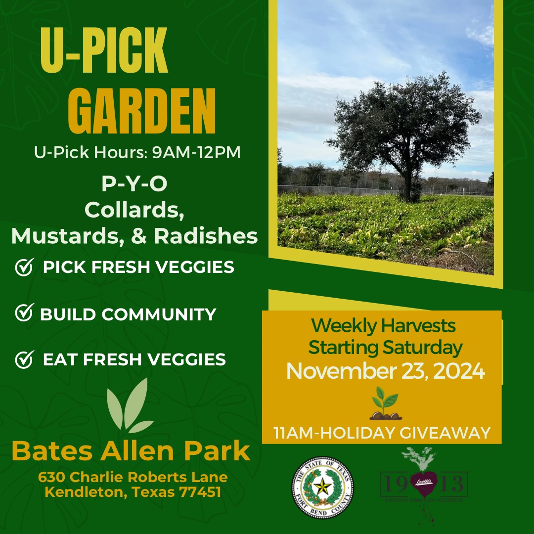 Harvesting Freshness and Community Spirit: Fort Bend County’s Fall U ...