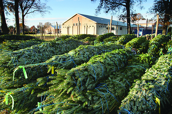 Henrico County will accept Christmas trees for recycling into mulch from Dec. 26 through Jan. 9.