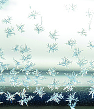 Holiday frost-Sandra Sellars/Richmond Free Press