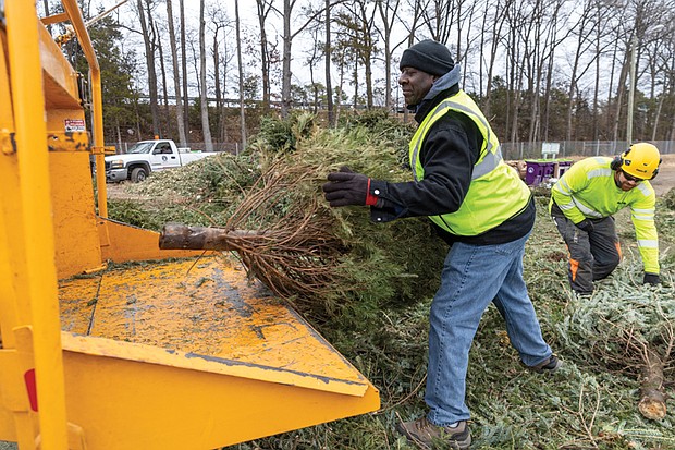 Jesse Hendren, of the City of Richmond Department of Public Works, loads a wood chipper with Christmas trees during the “Bring One for the Chipper” recycling event Saturday at 1710 Robin Hood Road. More than 1,000 trees were expected to be broken down during the event, where paper and electronics also were accepted for recycling.