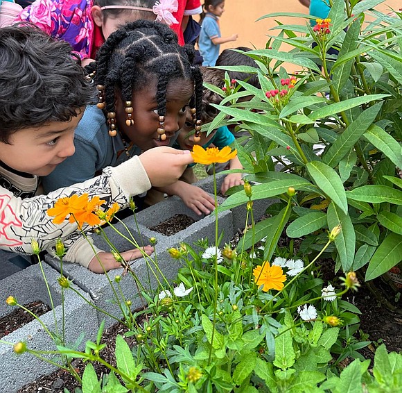 It’s often said that kindness is contagious—and Harmony School of Enrichment is ensuring it spreads like wildfire. This January, the …