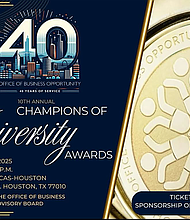 Champion of Diversity Award Sponsorship