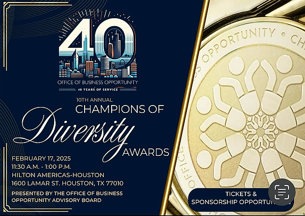 Champion of Diversity Award Sponsorship