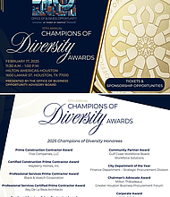 Champion of Diversity Award Sponsorship