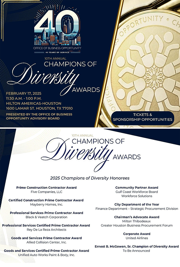 Champion of Diversity Award Sponsorship