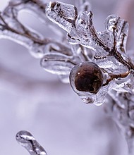 Icicles in Henrico