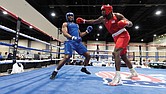 A new bill passed by the General Assembly seeks to ease physician requirements at events such as the USA Boxing Elite National Championships, held recently at the Greater Richmond Convention Center, by shortening the time needed for medical licensure.