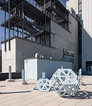 Hyundai Terrace Commission: Marina Zurkow: The River is a Circle, 2025. Photo: Filip Wolak.