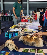 Julian, 6, of Pennsylvania, learns about Richmond’s native wildlife from Aimee Bushman, park ranger supervisor with the James River Park System, during the Science Museum of Virginia’s Earth Day Festival on Saturday, April 19. The event, held at the Gottwald Center behind the museum, featured family-friendly activities centered on sustainability, natural resources and environmental science.