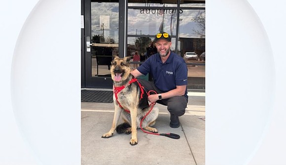 One less stray dog is on the streets and is now in his forever home thanks to the hard work …