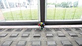 Virginia War Memorial